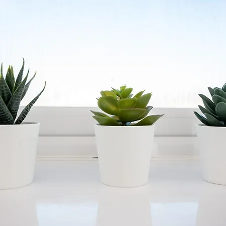 Wilton By Horizon * Redcar